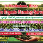 WhatsApp Image 2025-11-28 at 1.26.25 PM