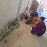 WhatsApp Image 2025-11-28 at 1.26.47 PM